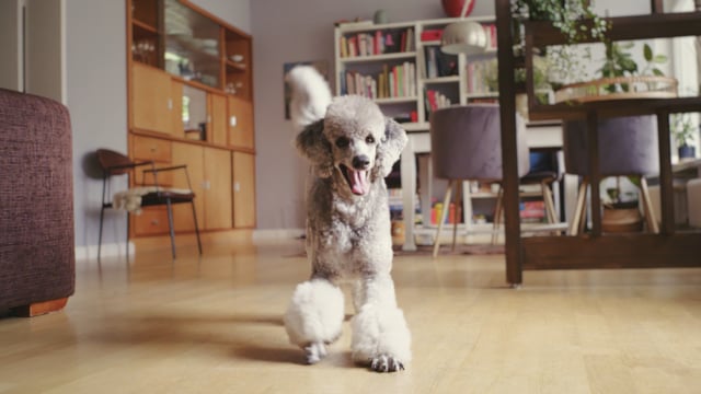 Fressnapf Pet Food