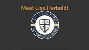 Meet Lisa Herbold!