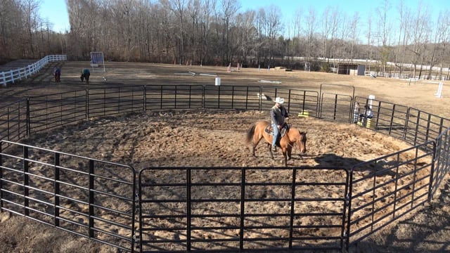 Mocha Day 14: The trot is getting better