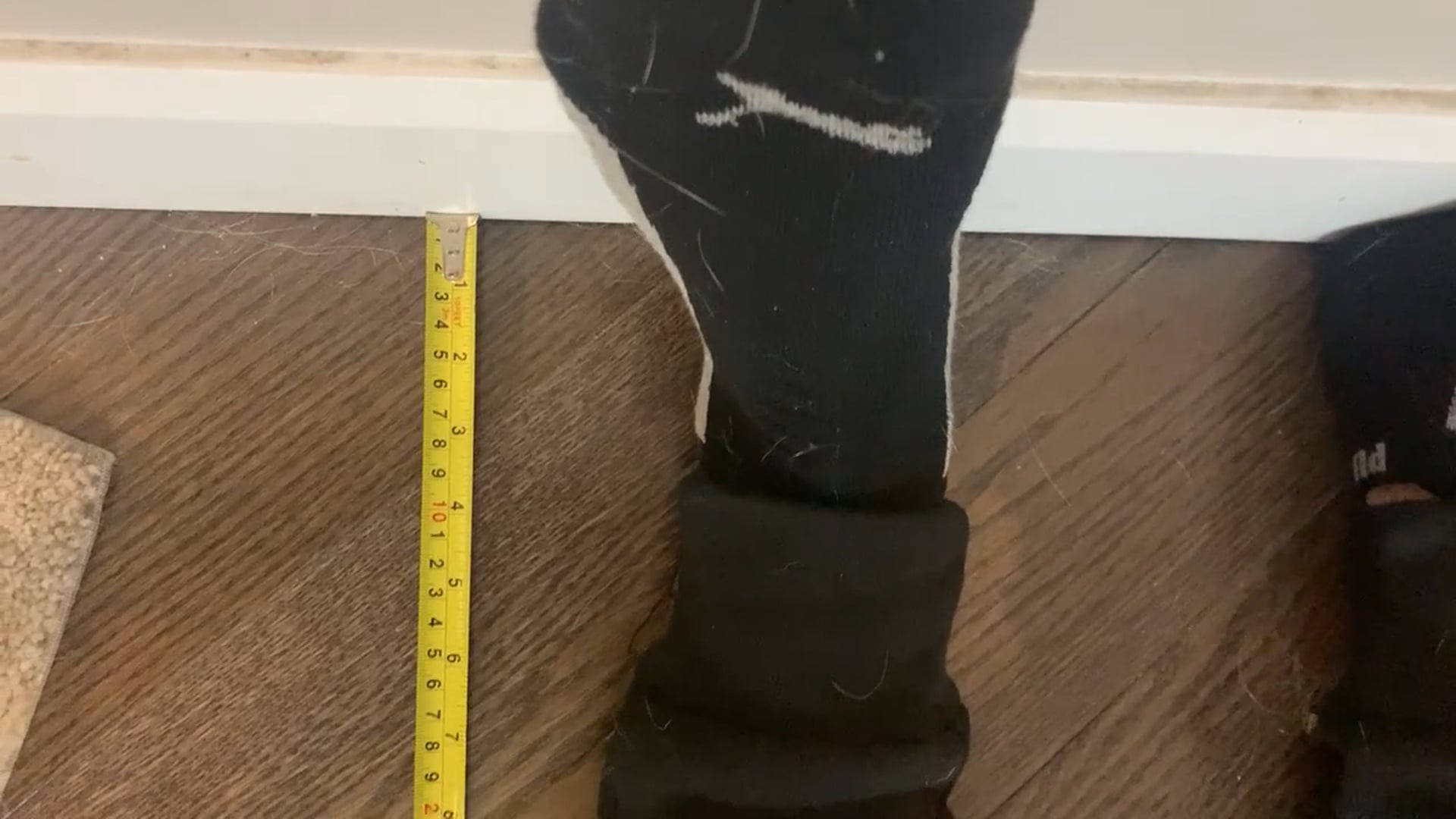 Watch noah kolar's Height: 71.8 inches