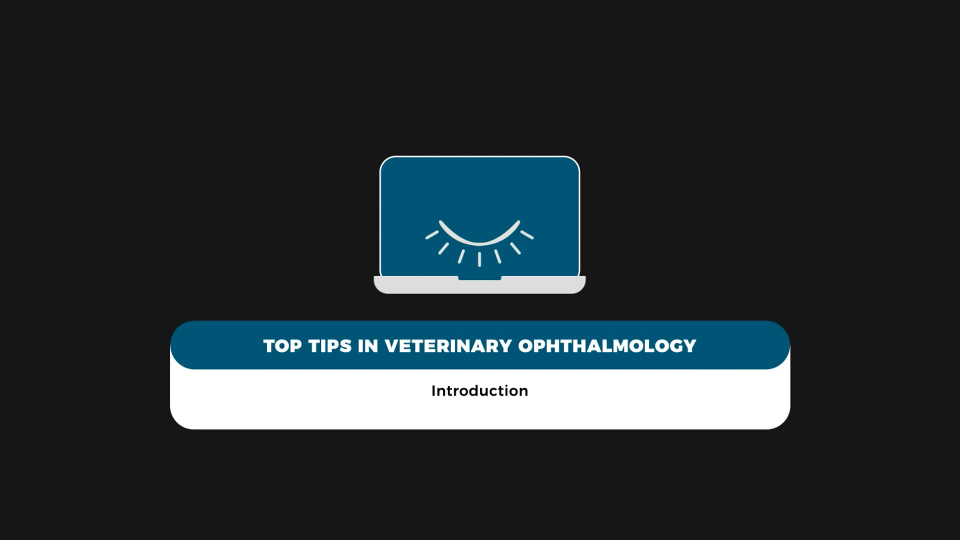 Top Tips in Oftalmologia Veterinaria - Ofri - Introduzione