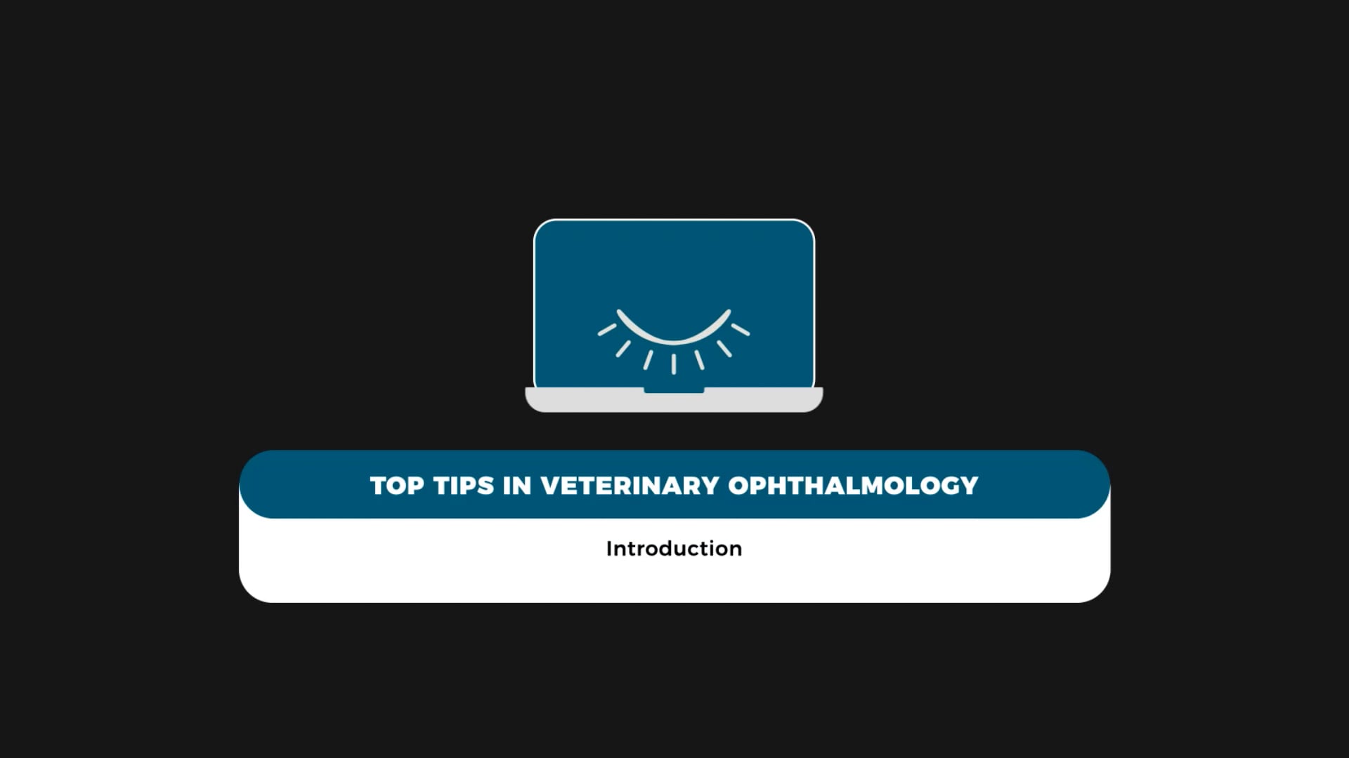 Top Tips in Oftalmologia Veterinaria - Ofri - Introduzione