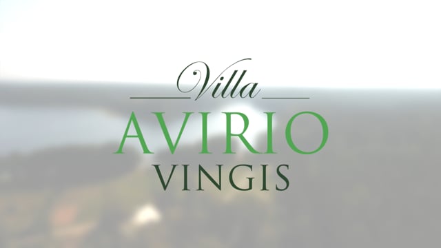 Avirio Vingis #2