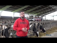 Menor carga de trabajo y mayor comodidad para las vacas con el tráfico libre