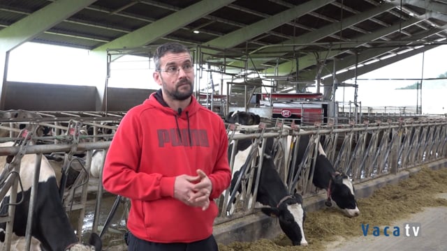 Menor carga de traballo e maior comodidade para as vacas co tráfico libre