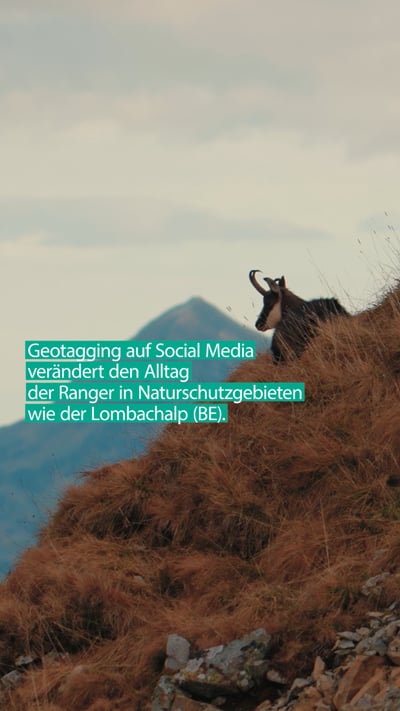 Wanderboom und Rangerberuf – Filmproduktion von Summit Vision Media