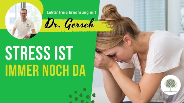 Stress, der durch lektinfreie Ernährung nicht verschwindet