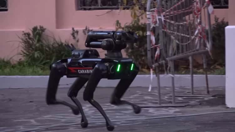 Ecco Saetta, il primo cane robot 'in divisa' arruolato nei Carabinieri on  Vimeo