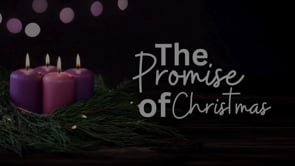 Promise Proclaimed