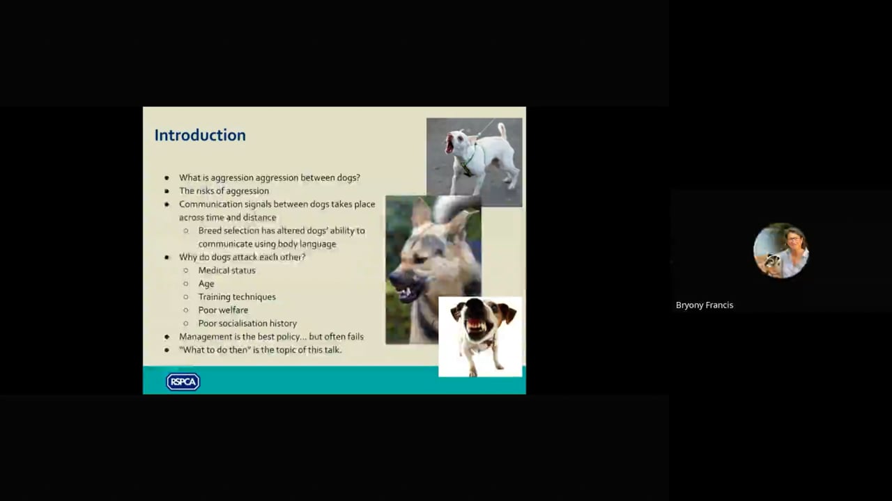 Behaviour CPD session - Dog-dog attacks (2023-11-29 14_32 GMT) (1).mp4 - Bryony Francis