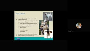 Behaviour CPD session - Dog-dog attacks (2023-11-29 14_32 GMT) (1).mp4