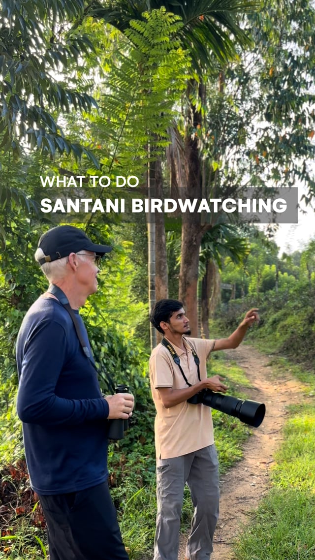Santani Birdwatching