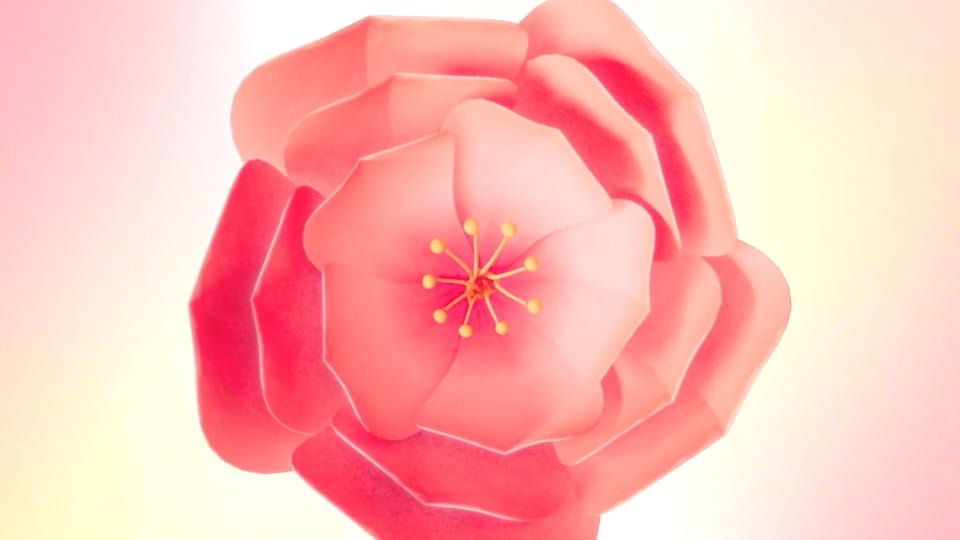 Sakura