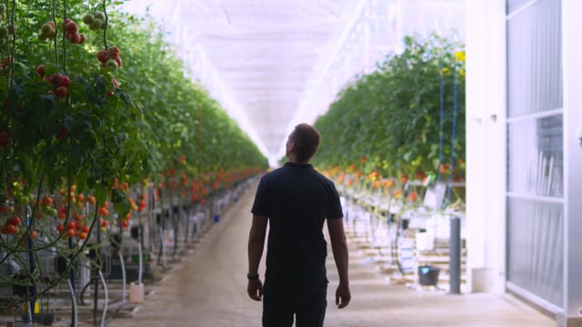 Wervingsvideo Teeltspecialist Schenkeveld