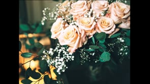 Our Wedding Video (without vows)