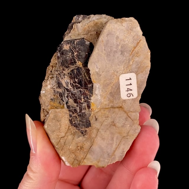Tantalite-(Mn) (rare Virginia locality)