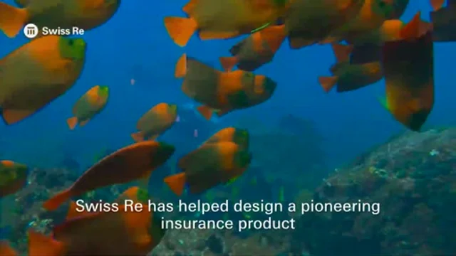 Designing a new type of insurance to protect the coral reefs, economies and  the planet