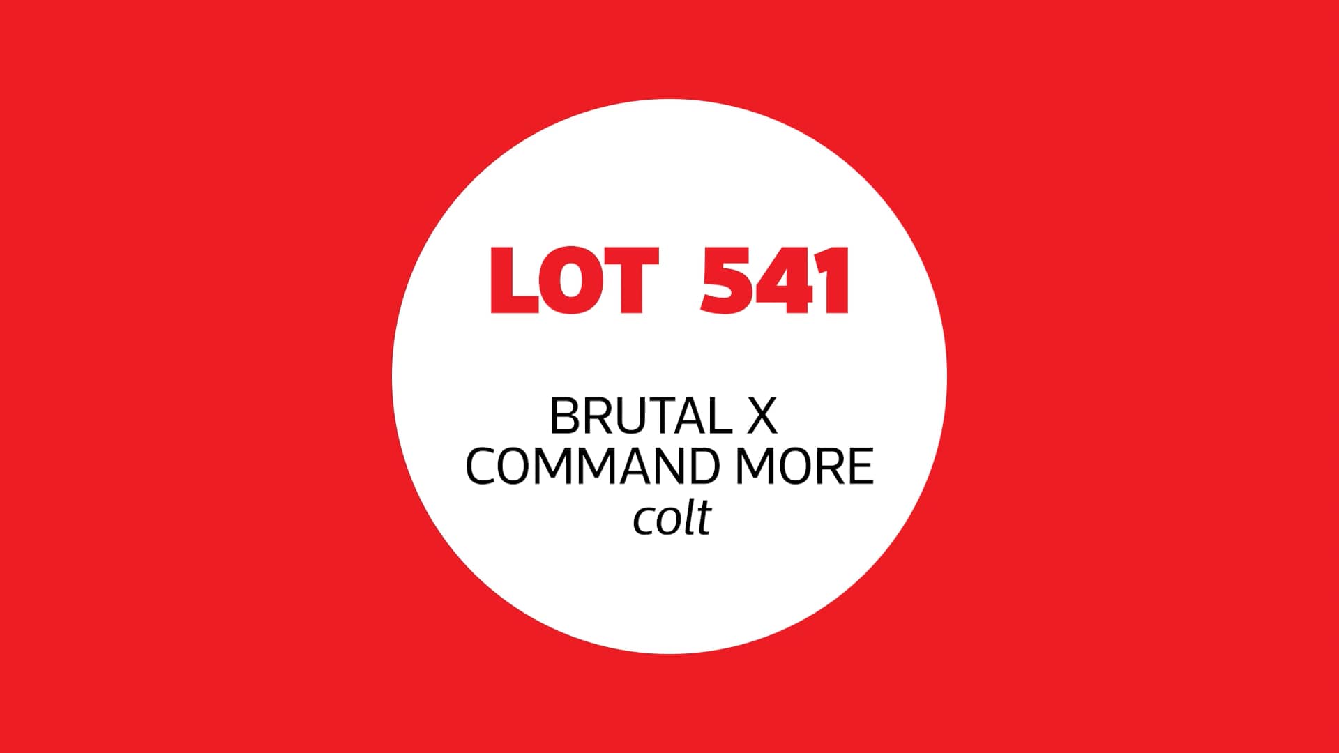 Lot 541 Brutal x Command More colt on Vimeo