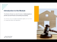 Introduction to Property Law