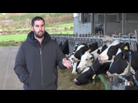 “Mejoramos mucho en detección de celos, en fertilidad y en tasa de preñez; lo que se traduce en más producción”