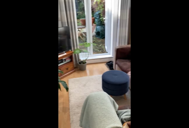 Beautiful garden flat in Clapham/Brixton Main Photo