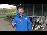 “SenseHub® nos va a dar siempre la información objetiva y nosotros podremos gestionar cambios de manejo o de alimentación”