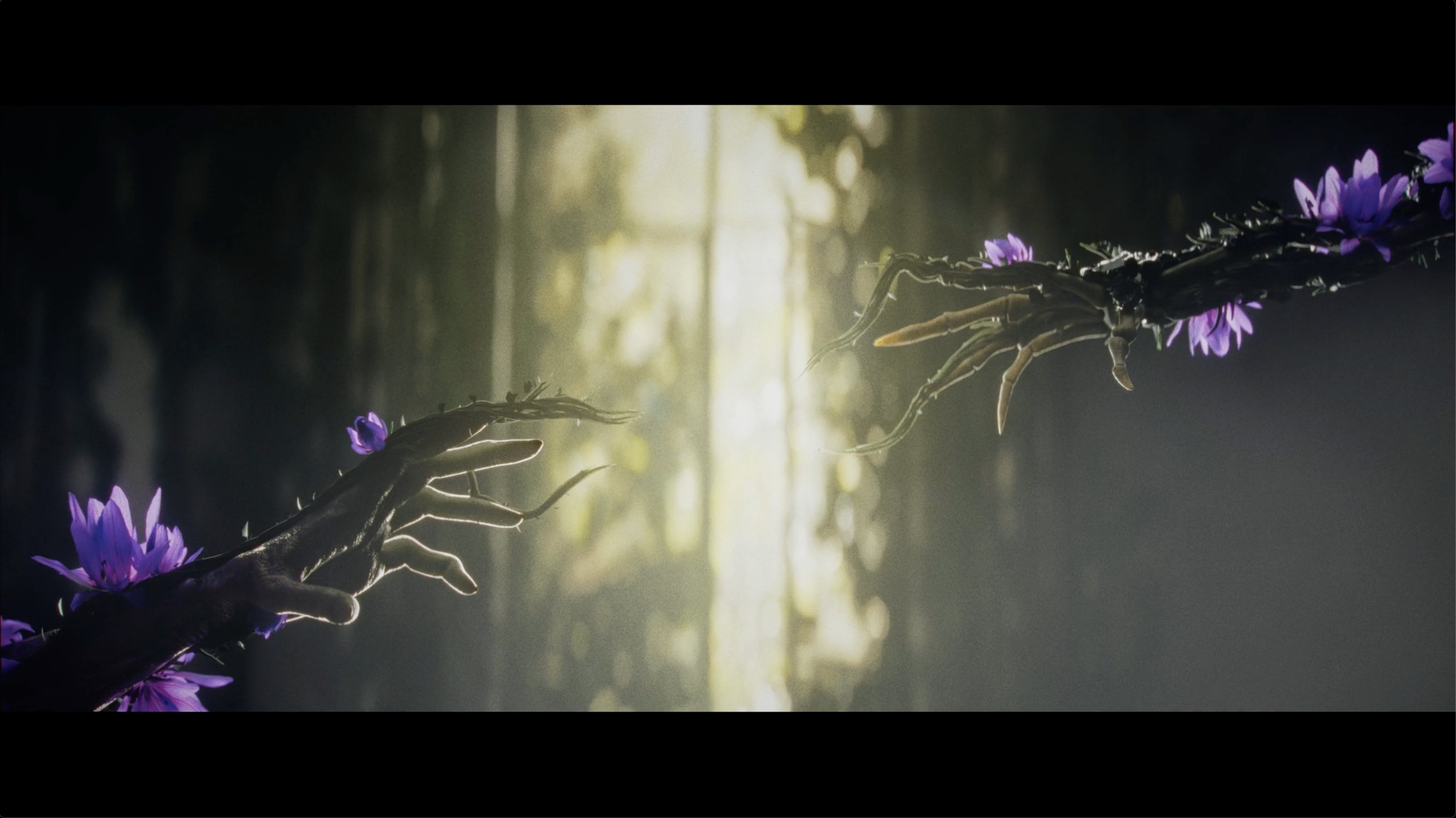 Revenant.tv | Rebirth