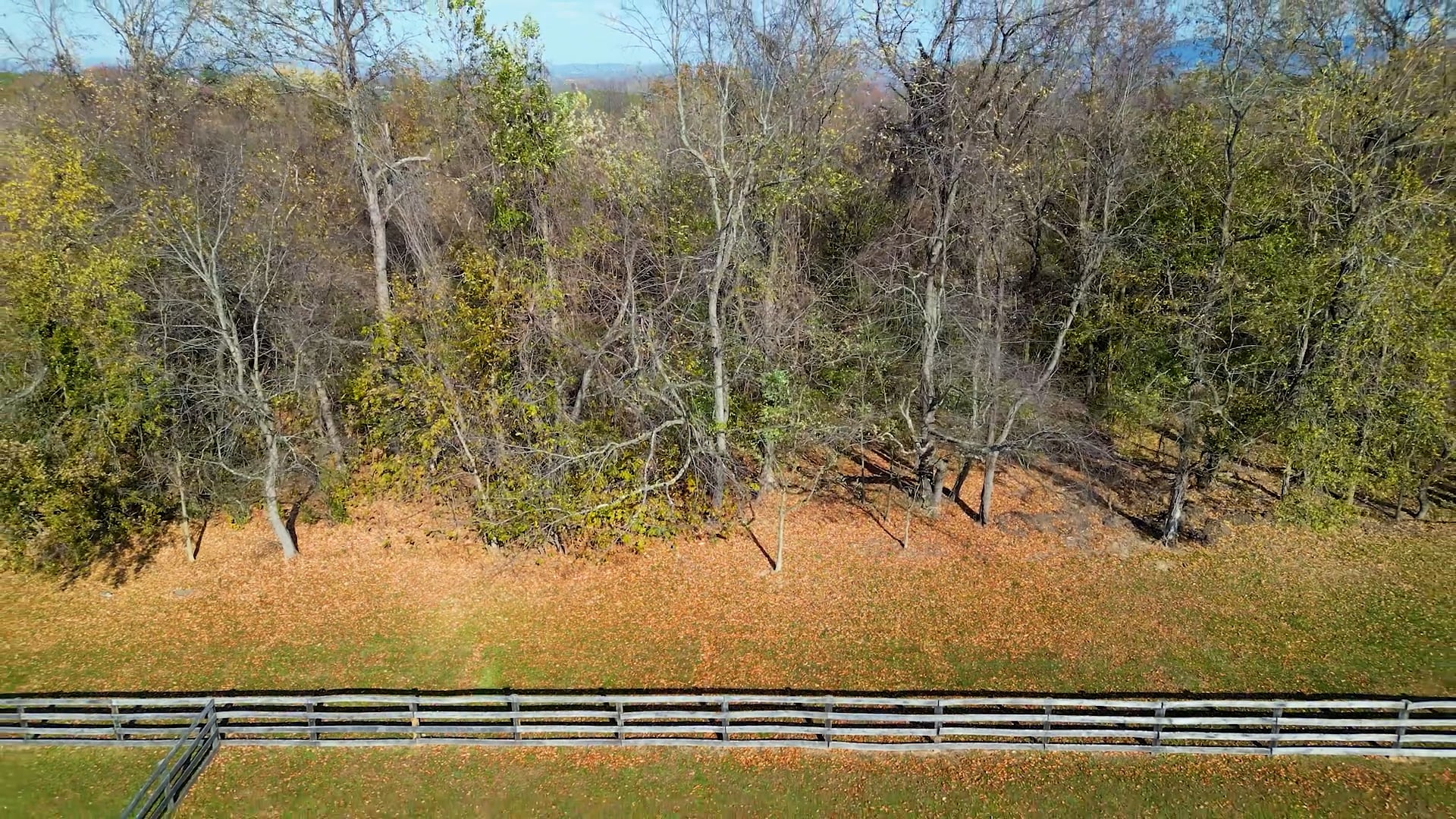 Veterans LLC Land Rescue cover