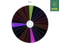 British Sign Language (BSL): video_study_a_to_z_spin_the_wheel_shbsl (720p)