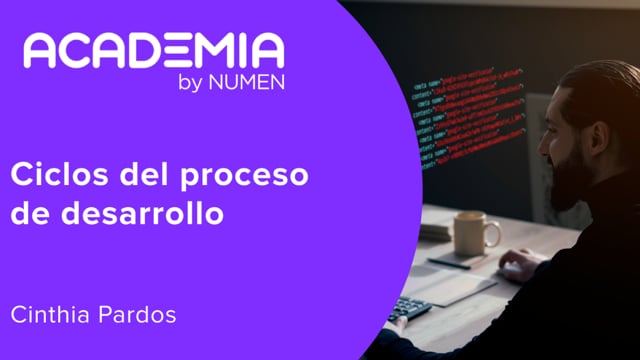 Ciclos del proceso de desarrollo