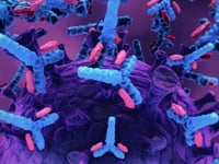 Newswise:Video Embedded what-the-pandemic-is-teaching-us-about-the-immune-system
