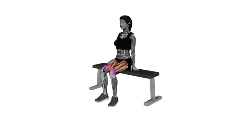 Seated hip abduction with best sale resistance band