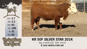 Lot #2 - KR 50F SILVER STAR 201K