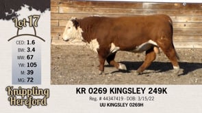Lot #17 - KR 0269 KINGSLEY 249K