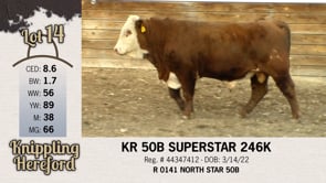 Lot #14 - KR 50B SUPERSTAR 246K