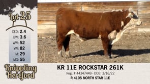 Lot #25 - KR 11E ROCKSTAR 261K