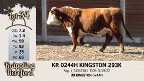 Lot #34 - KR 0244H KINGSTON 293K