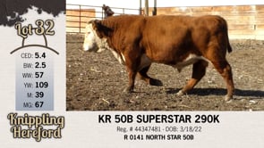 Lot #32 - KR 50B SUPERSTAR 290K