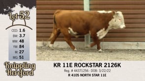 Lot #52 - KR 11E ROCKSTAR 2126K