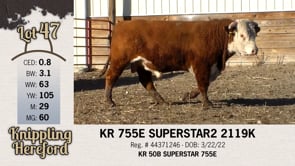 Lot #47 - KR 755E SUPERSTAR2 2119K