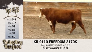 Lot #65 - KR 9110 FREEDOM 2170K