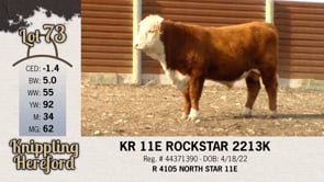 Lot #73 - KR 11E ROCKSTAR 2213K