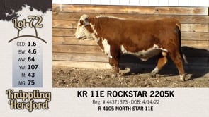 Lot #72 - KR 11E ROCKSTAR 2205K