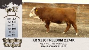 Lot #67 - KR 9110 FREEDOM 2174K