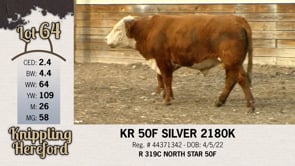 Lot #64 - KR 50F SILVER 2180K