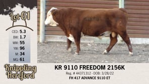 Lot #61 - KR 9110 FREEDOM 2156K