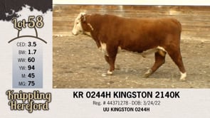 Lot #58 - KR 0244H KINGSTON 2140K