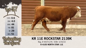 Lot #57 - KR 11E ROCKSTAR 2139K