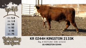 Lot #56 - KR 0244H KINGSTON 2133K