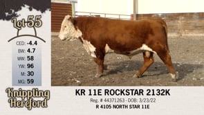 Lot #55 - KR 11E ROCKSTAR 2132K